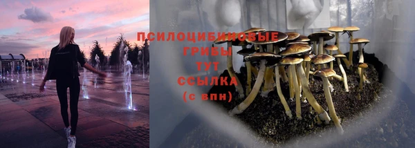 хмурый Алексеевка