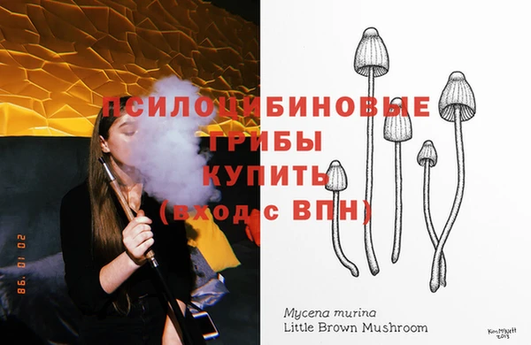бутират Осинники