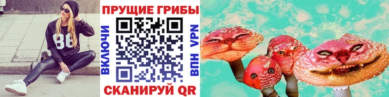 Псилоцибиновые грибы прущие грибы  Снежногорск 